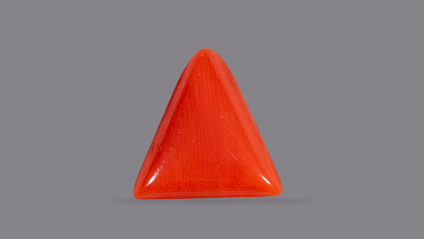 Natural Italian Red Coral (Moonga) 6.96 Carats