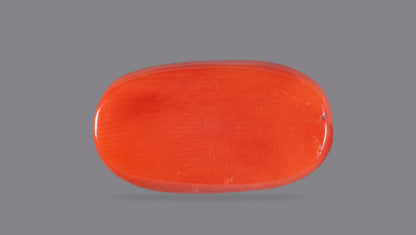 NATURAL RED CORAL (Moonga) 7.92 CARATS