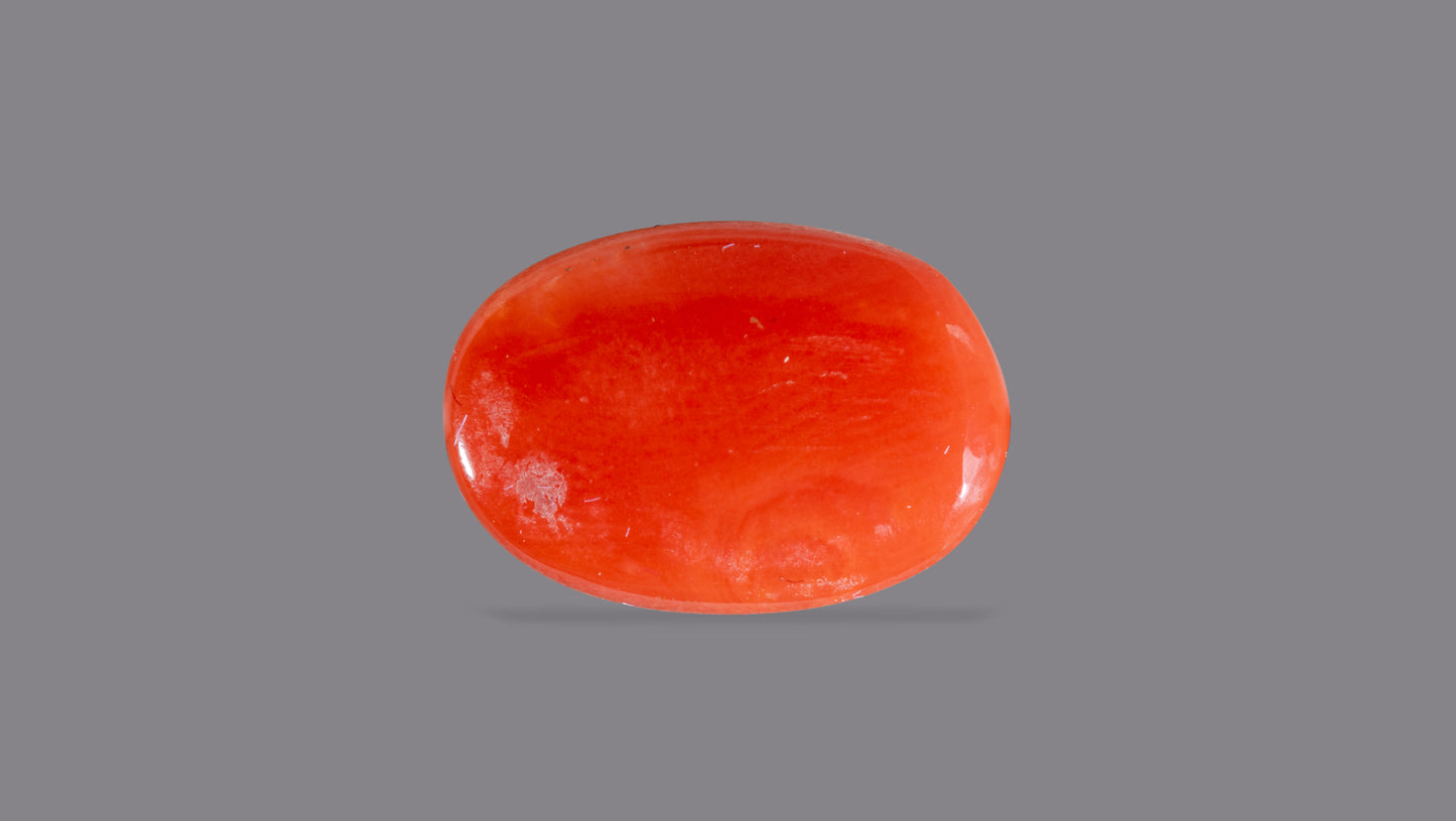 Natural Italian Red Coral (Moonga) 6.38 Carats