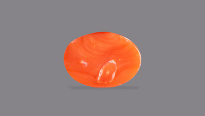 Japanese Red Coral (Moonga) 6.26 Carats