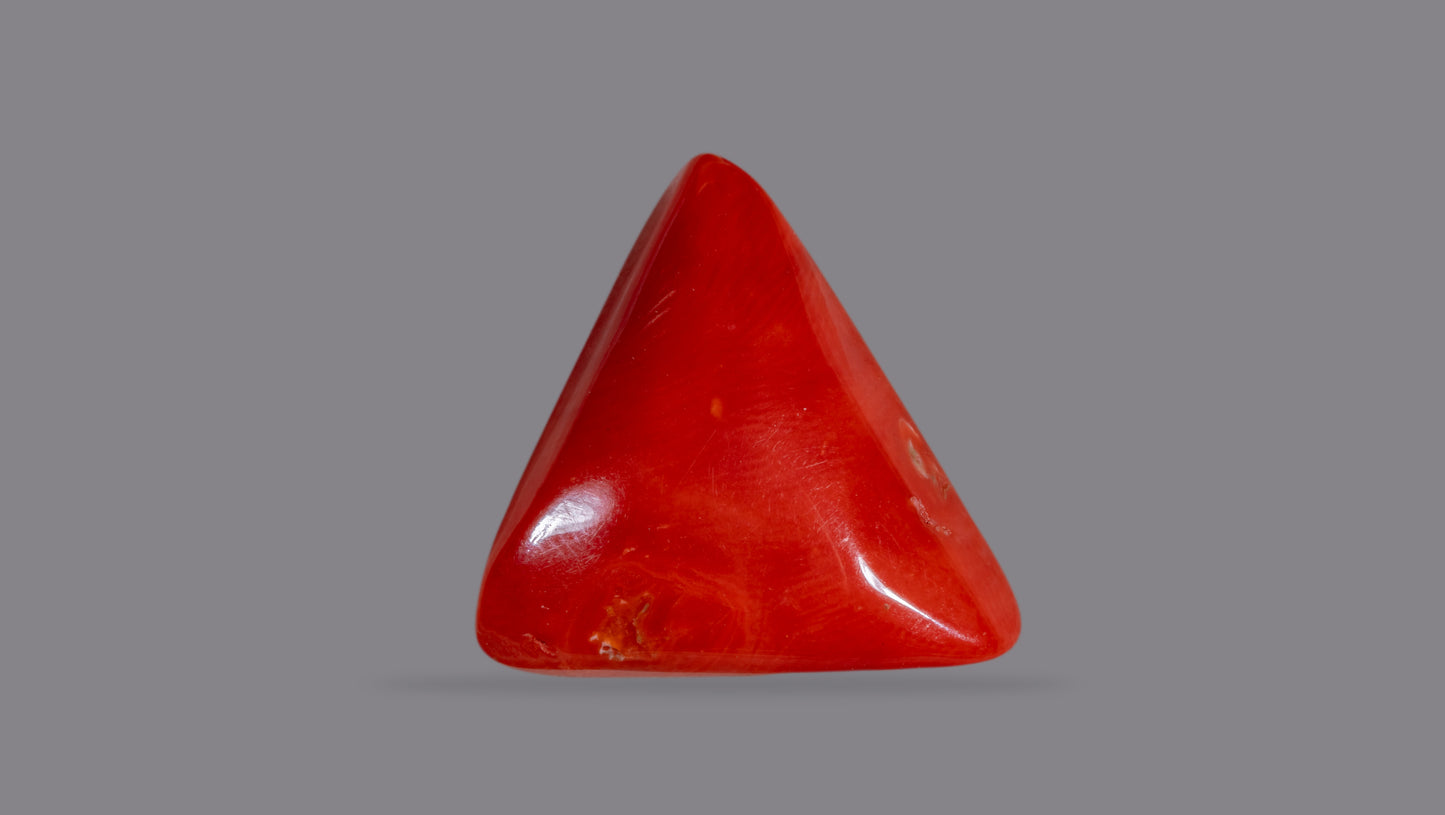 Natural Italian Red Coral (Moonga) 16.79 Carats