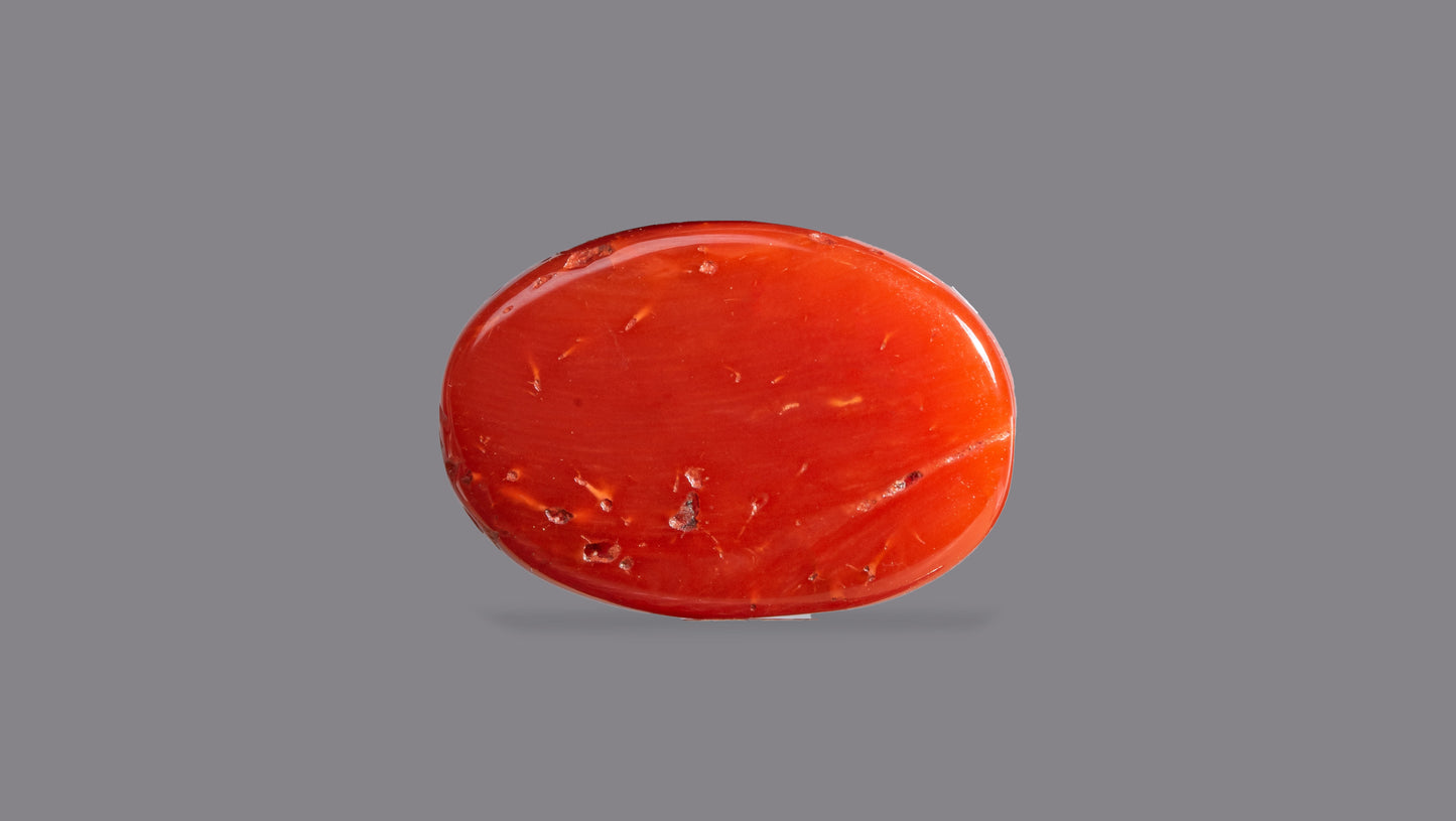 Japanese Red Coral (Moonga) 8.62 Carats