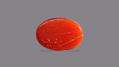 Japanese Red Coral (Moonga) 8.62 Carats