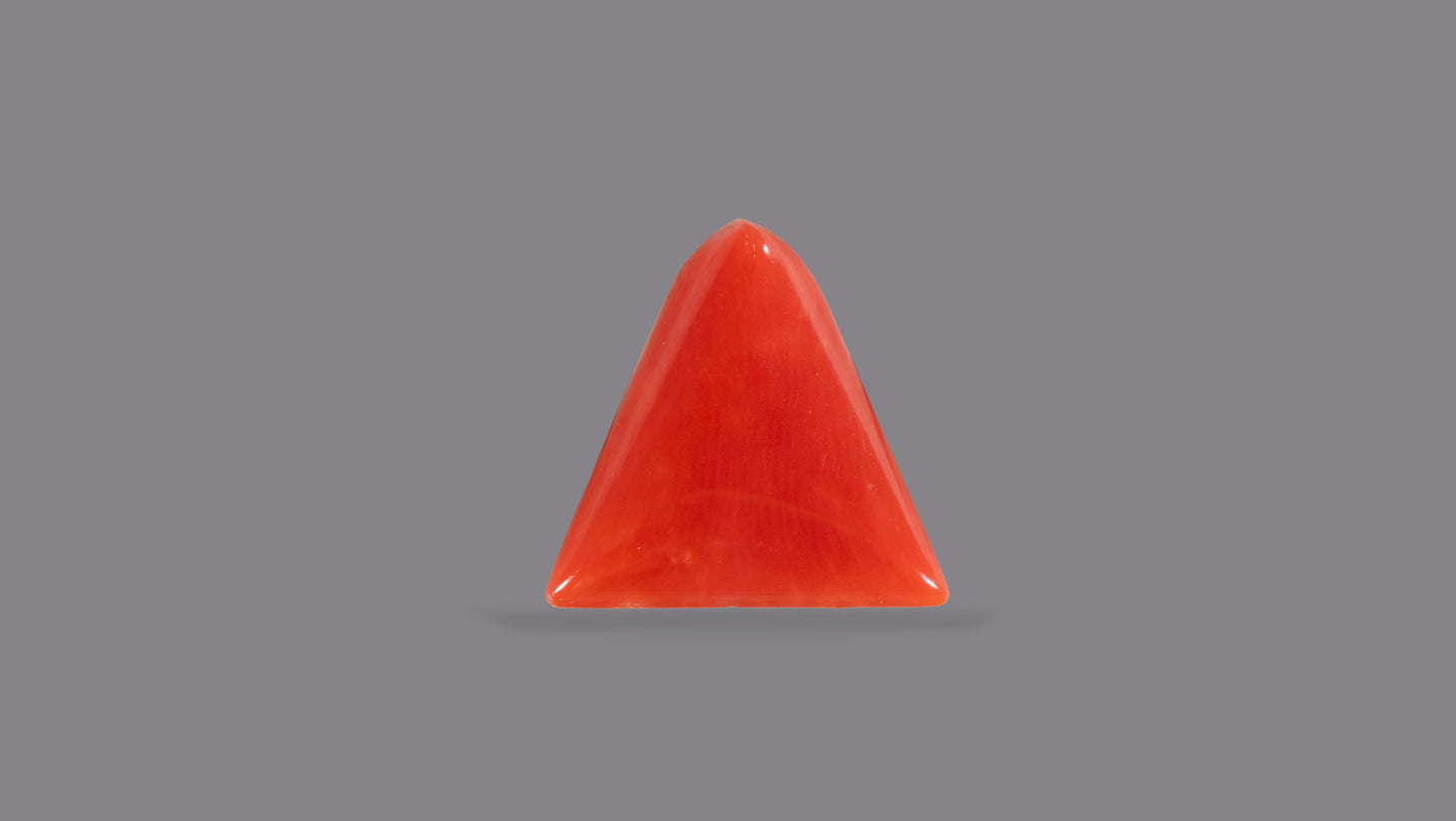Natural Italian Red Coral (Moonga) 5.18 Carats