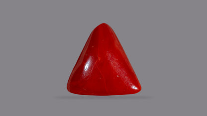 Natural Red Coral (Moonga) 14.78 Carats