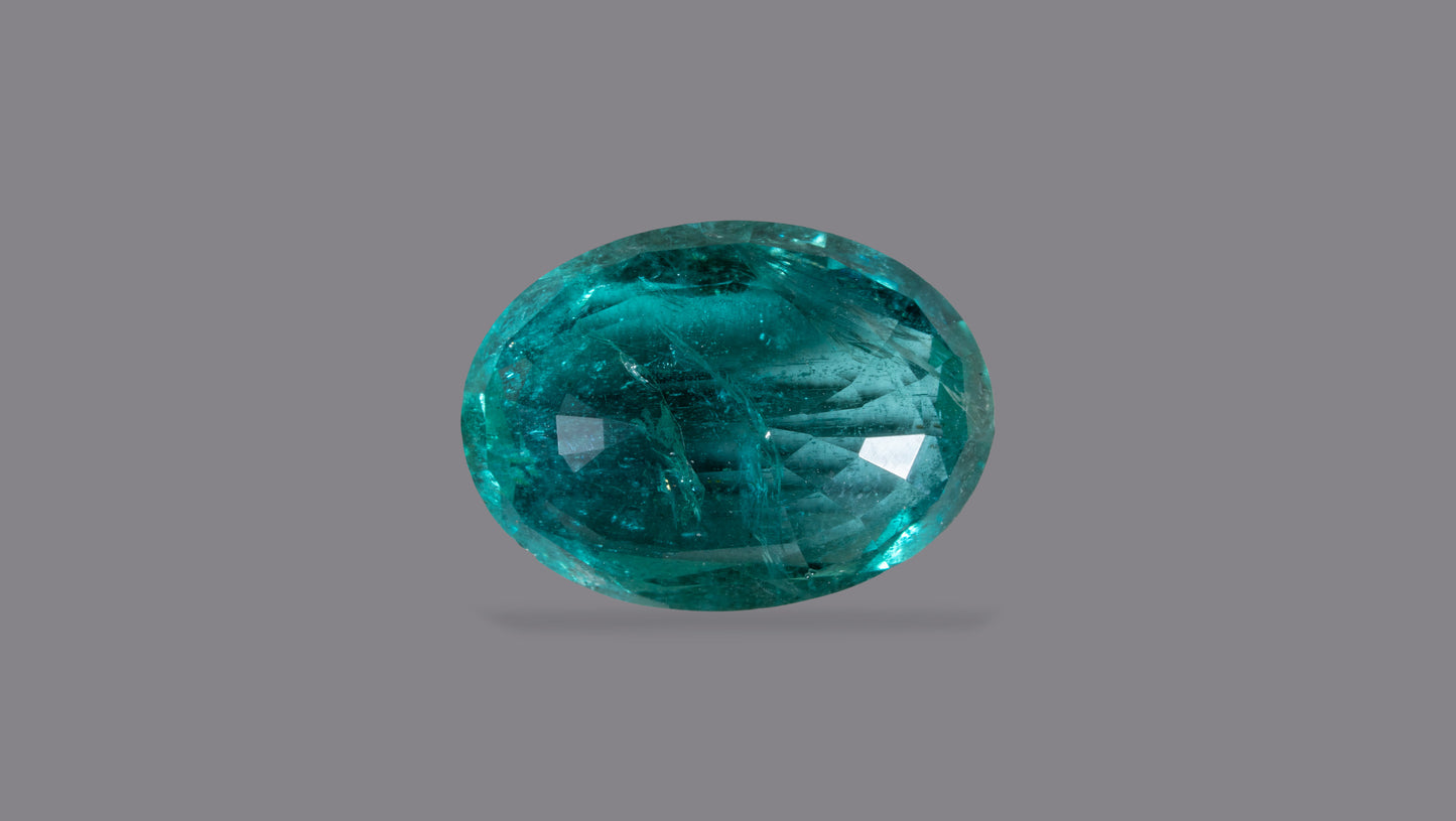 Natural Zambian Emerald (Panna) 9.19 Carats