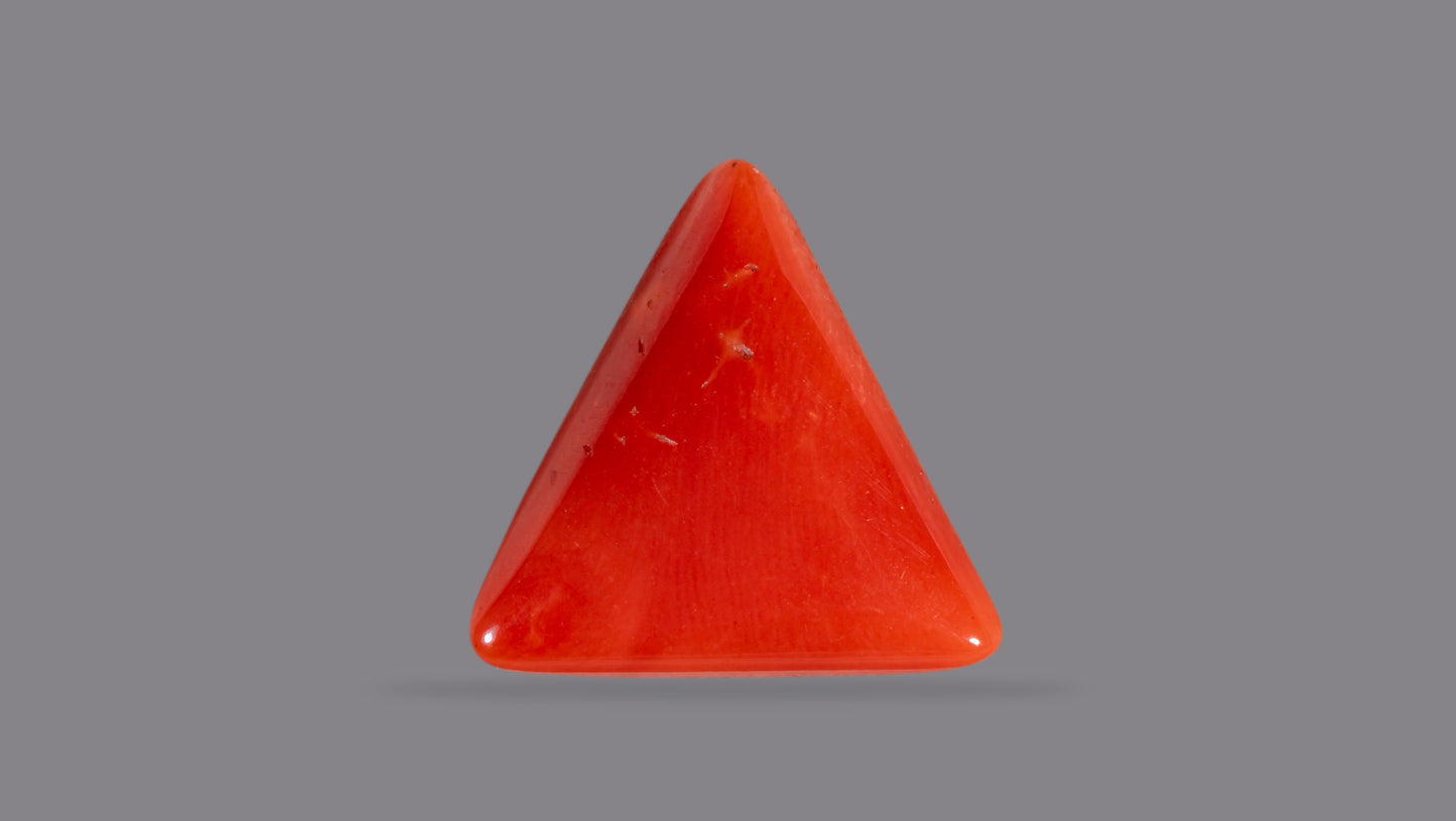 Natural Italian Red Coral (Moonga) 5.96 Carats