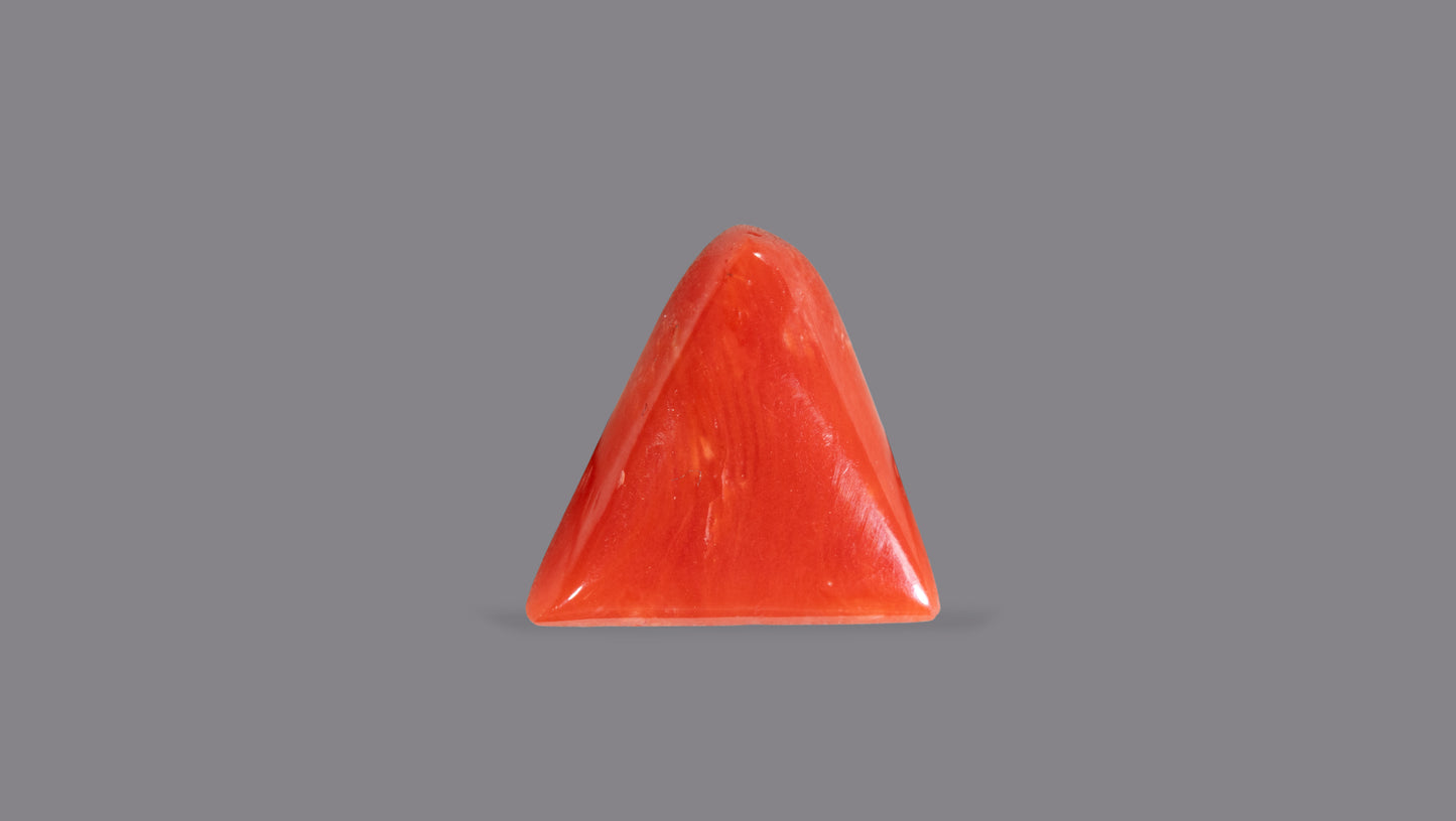 Natural Italian Red Coral (Moonga) 4.95 Carats