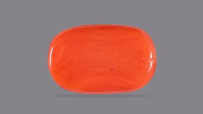 Natural Italian Red Coral (Moonga) 10.68 Carats