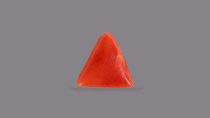 Natural Italian Red Coral (Moonga) 5.21 Carats