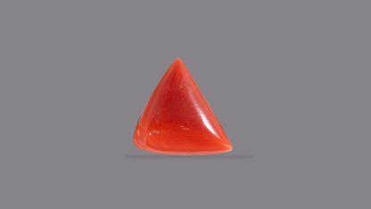 Natural Italian Red Coral (Moonga) 5.20 Carats