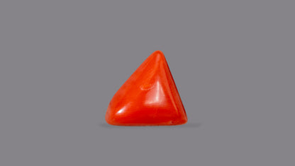Natural Italian Red Coral (Moonga) 4.10 Carats