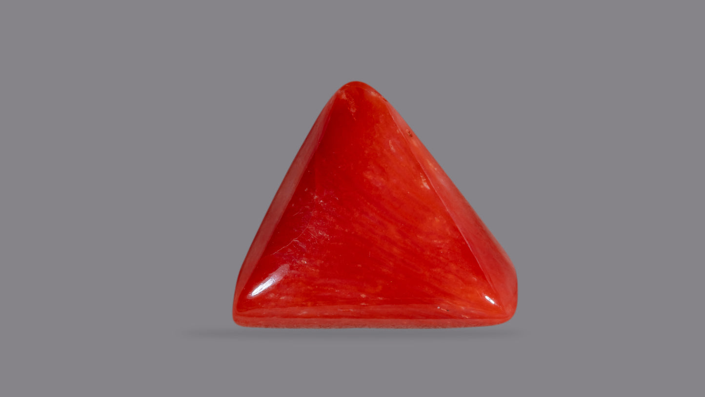 Natural Italian Red Coral (Moonga) 6.16 Carats