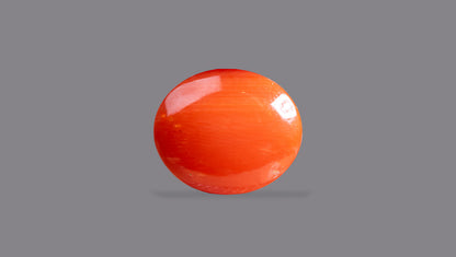 Japanese Red Coral (Moonga) 5.99 Carats