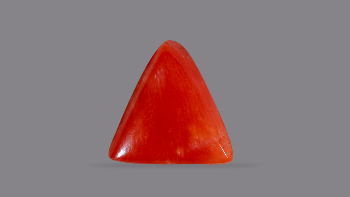 Natural Italian Red Coral (Moonga) 6.26 Carats