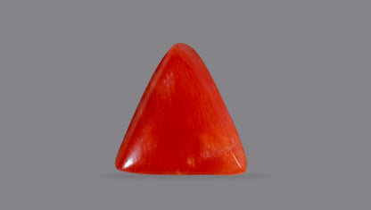 Natural Italian Red Coral (Moonga) 6.26 Carats