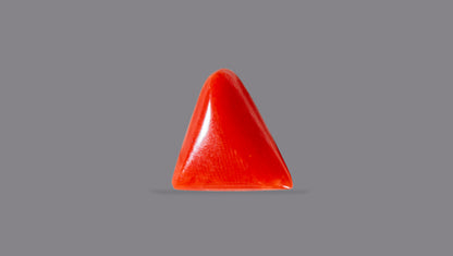 Natural Italian Red Coral (Moonga) 5.21 Carats