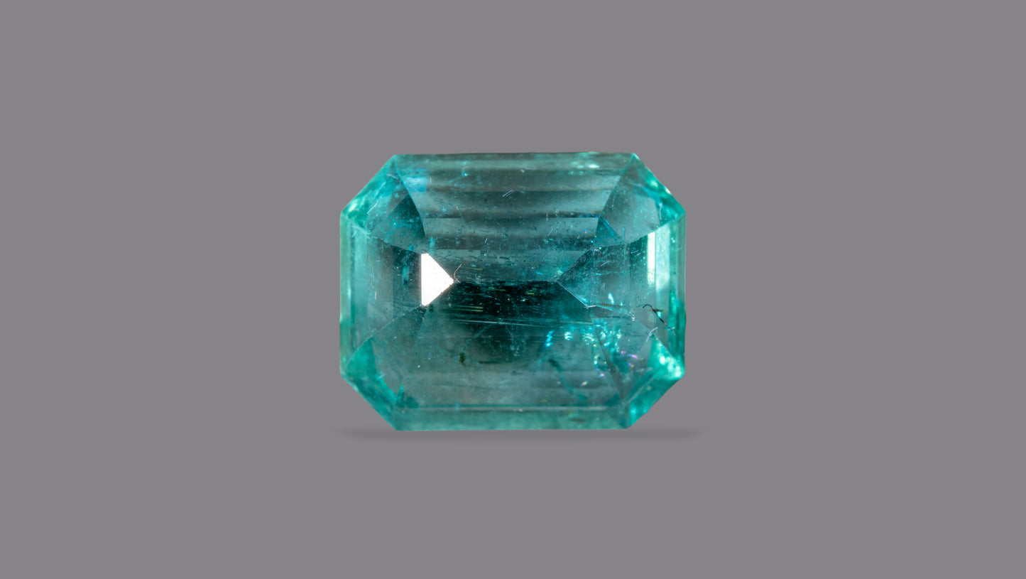 Natural Zambian Emerald (Panna) 8.78 Carats