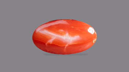Japanese Red Coral (Moonga) 5.28 Carats