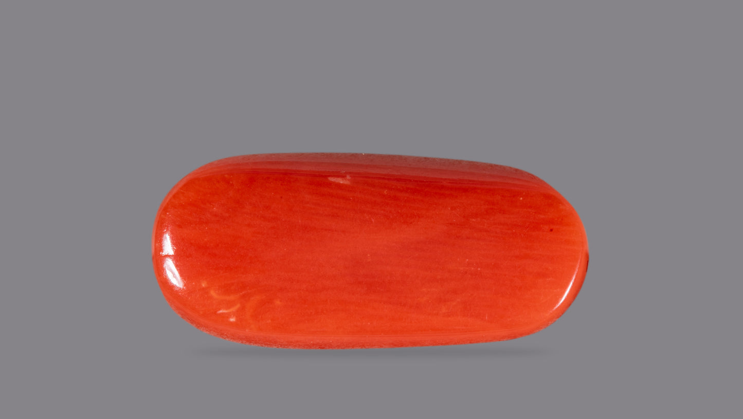 Natural Italian Red Coral (Moonga) 5.91 Carats