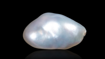 Venezuela Pearl (Moti) 7.37 Carats