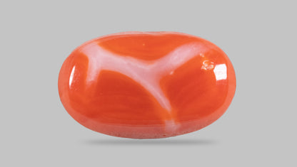 Japanese Red Coral (Moonga) 5.00 Carats