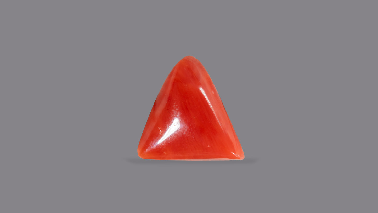 Natural Italian Red Coral (Moonga) 4.50 Carats