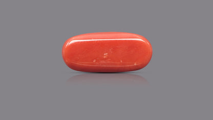 Natural Italian Red Coral (Moonga) 12.45 Carats