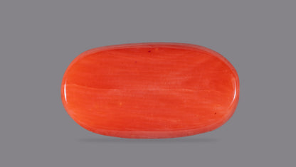 NATURAL RED CORAL (Moonga) 7.43 CARATS