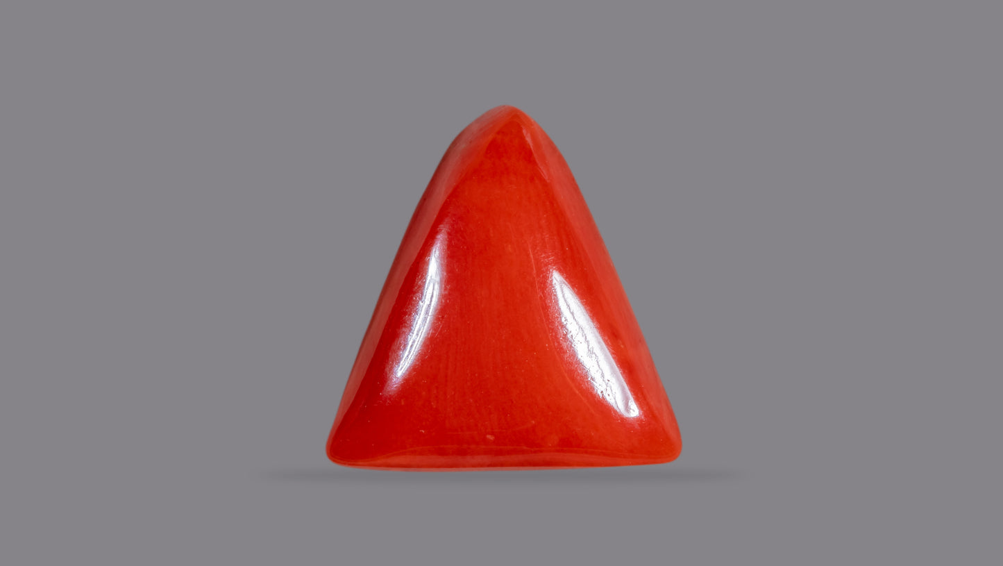 Natural Italian Red Coral (Moonga) 6.30 Carats