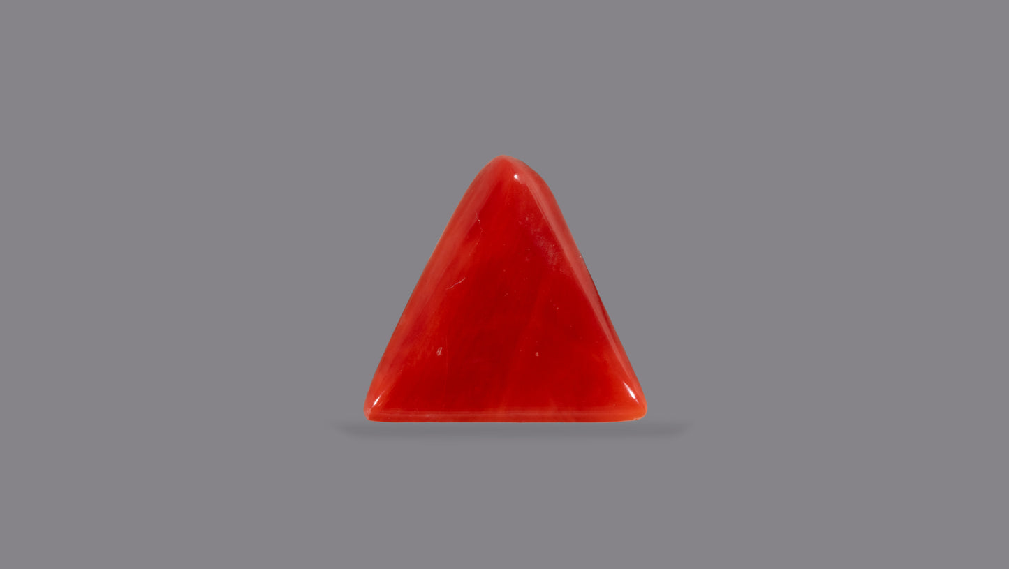 Natural Italian Red Coral (Moonga) 4.98 Carats