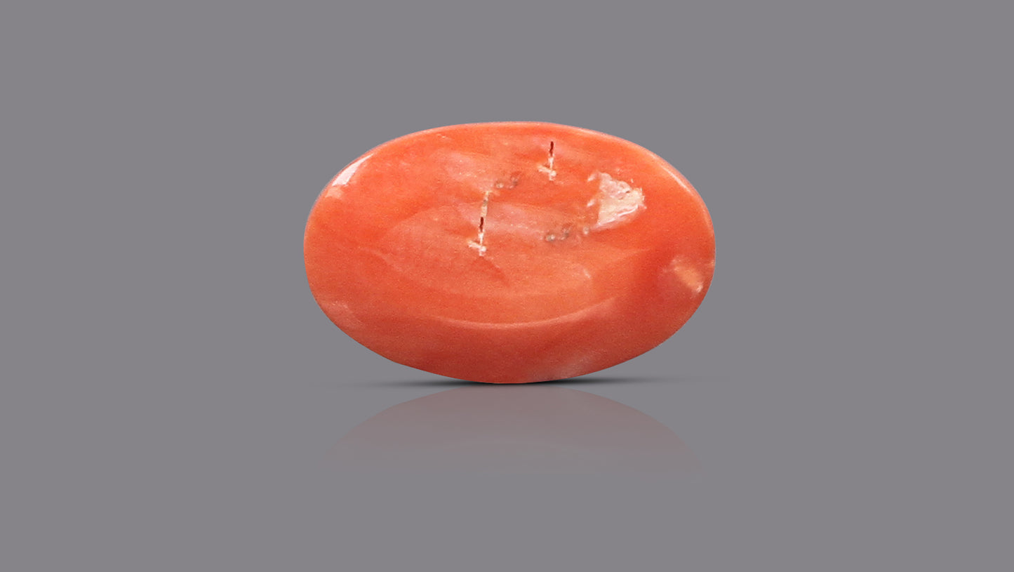 Japanese Red Coral (Moonga) 6.08 Carats