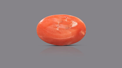 Japanese Red Coral (Moonga) 6.08 Carats