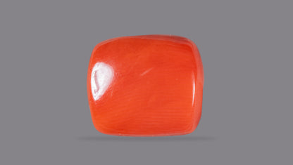 Natural Italian Red Coral (Moonga) 13.52 Carats