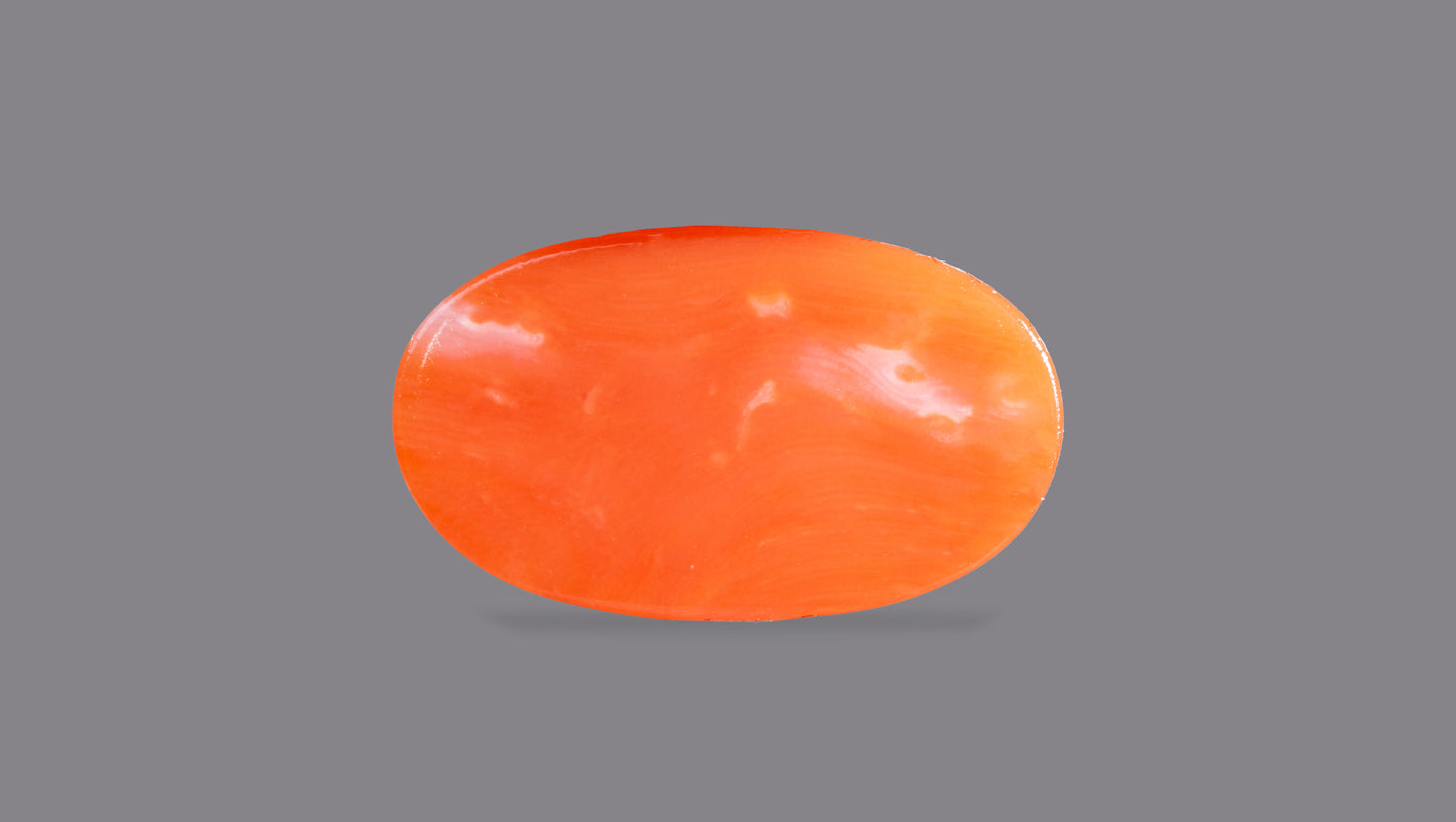 Japanese Red Coral (Moonga) 5.79 Carats