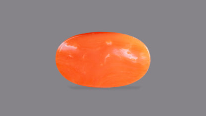 Japanese Red Coral (Moonga) 5.79 Carats
