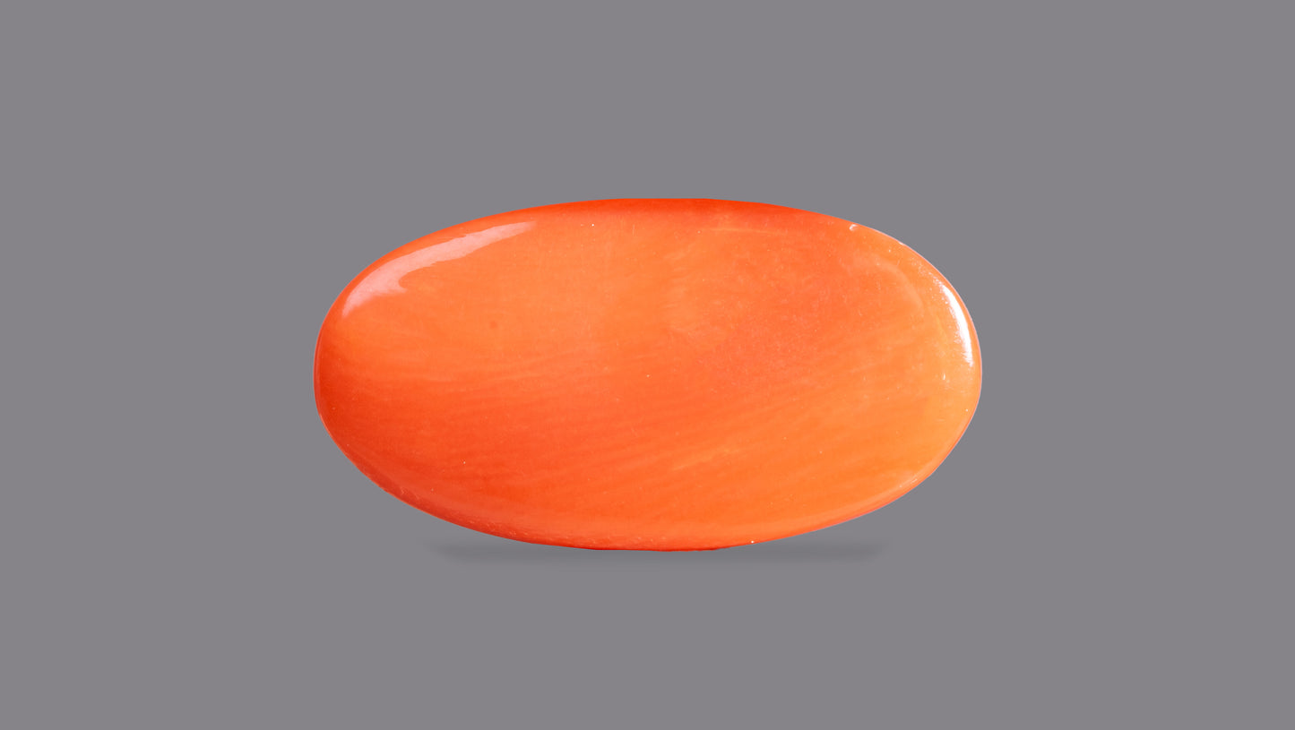 Japanese Red Coral (Moonga) 6.44 Carats