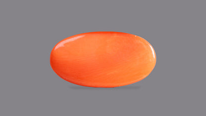 Japanese Red Coral (Moonga) 6.44 Carats