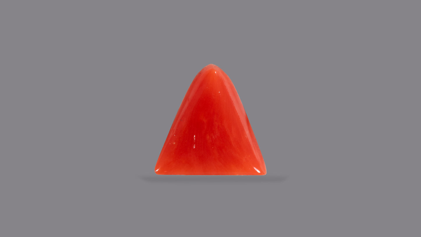 Natural Italian Red Coral (Moonga) 5.98 Carats