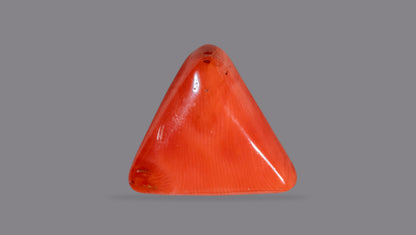 Natural Red Coral (Moonga) 9.67 Carats