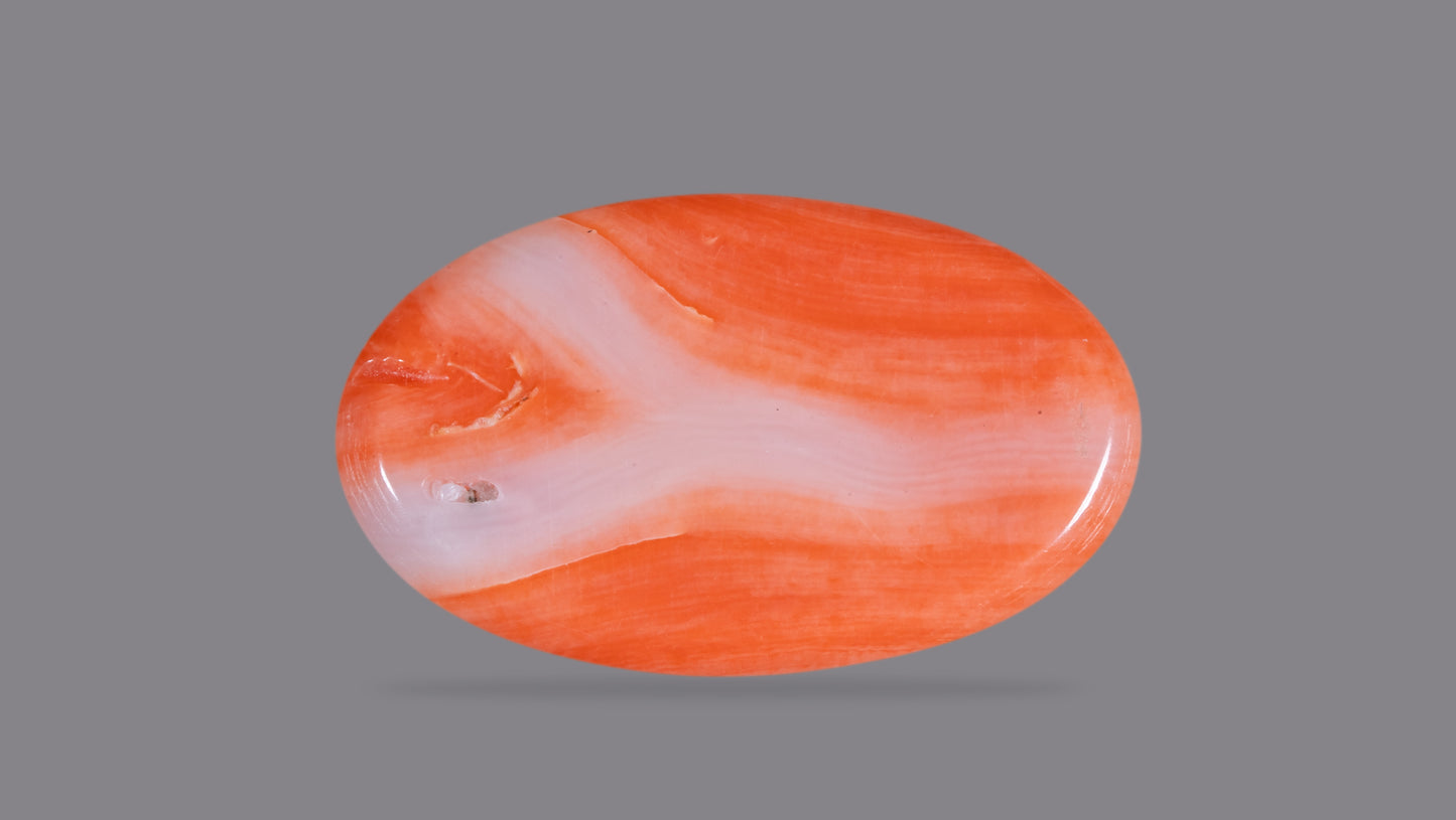 Japanese Red Coral (Moonga) 12.11 Carats