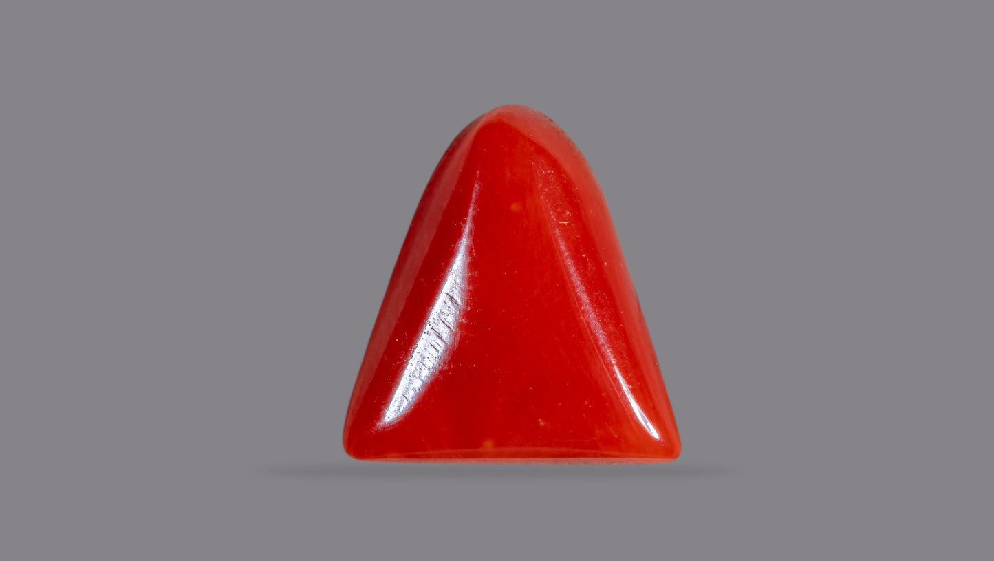 Natural Italian Red Coral (Moonga) 6.45 Carats