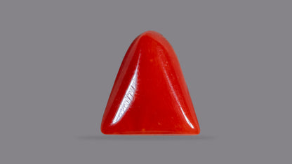 Natural Italian Red Coral (Moonga) 6.45 Carats