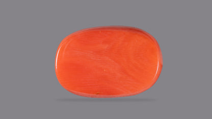Natural Italian Red Coral (Moonga) 13.29 Carats