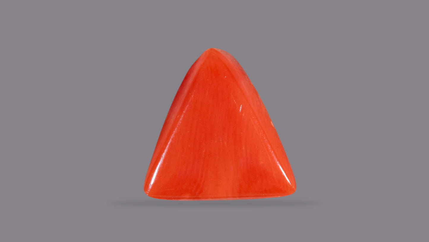 Natural Italian Red Coral (Moonga) 5.34 Carats