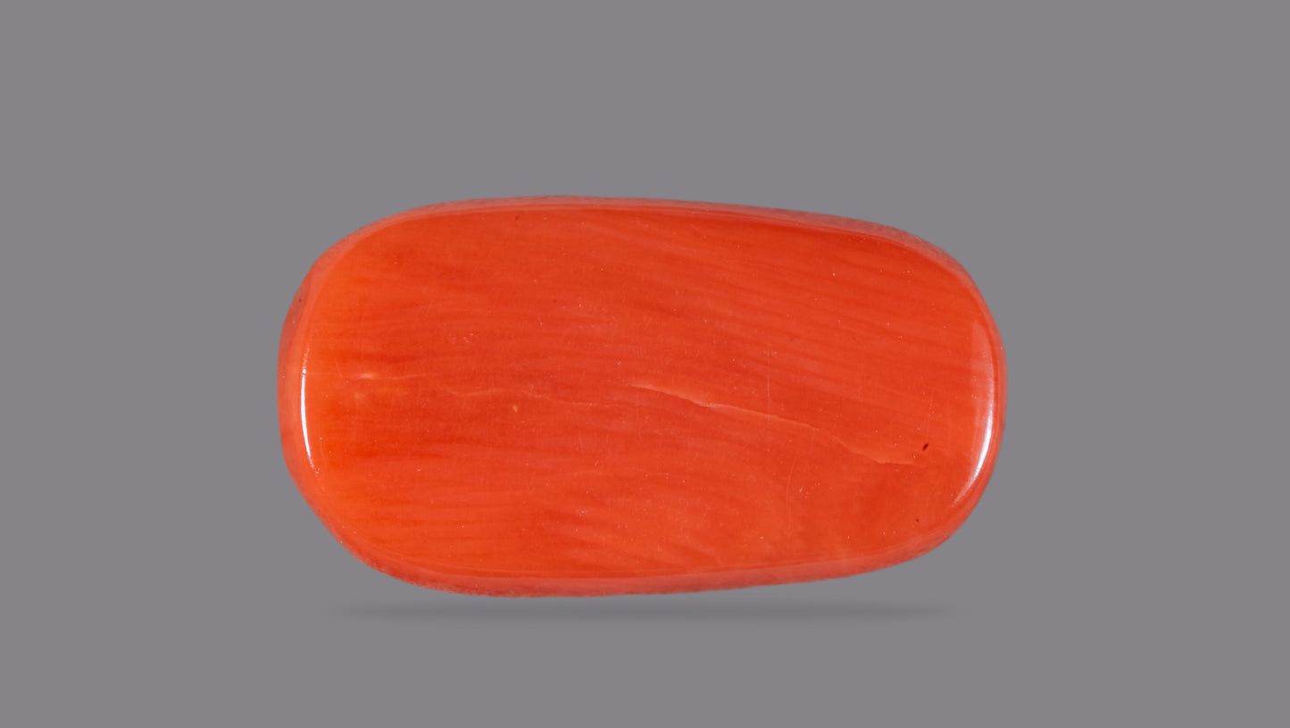 Natural Italian Red Coral (Moonga) 6.77 Carats