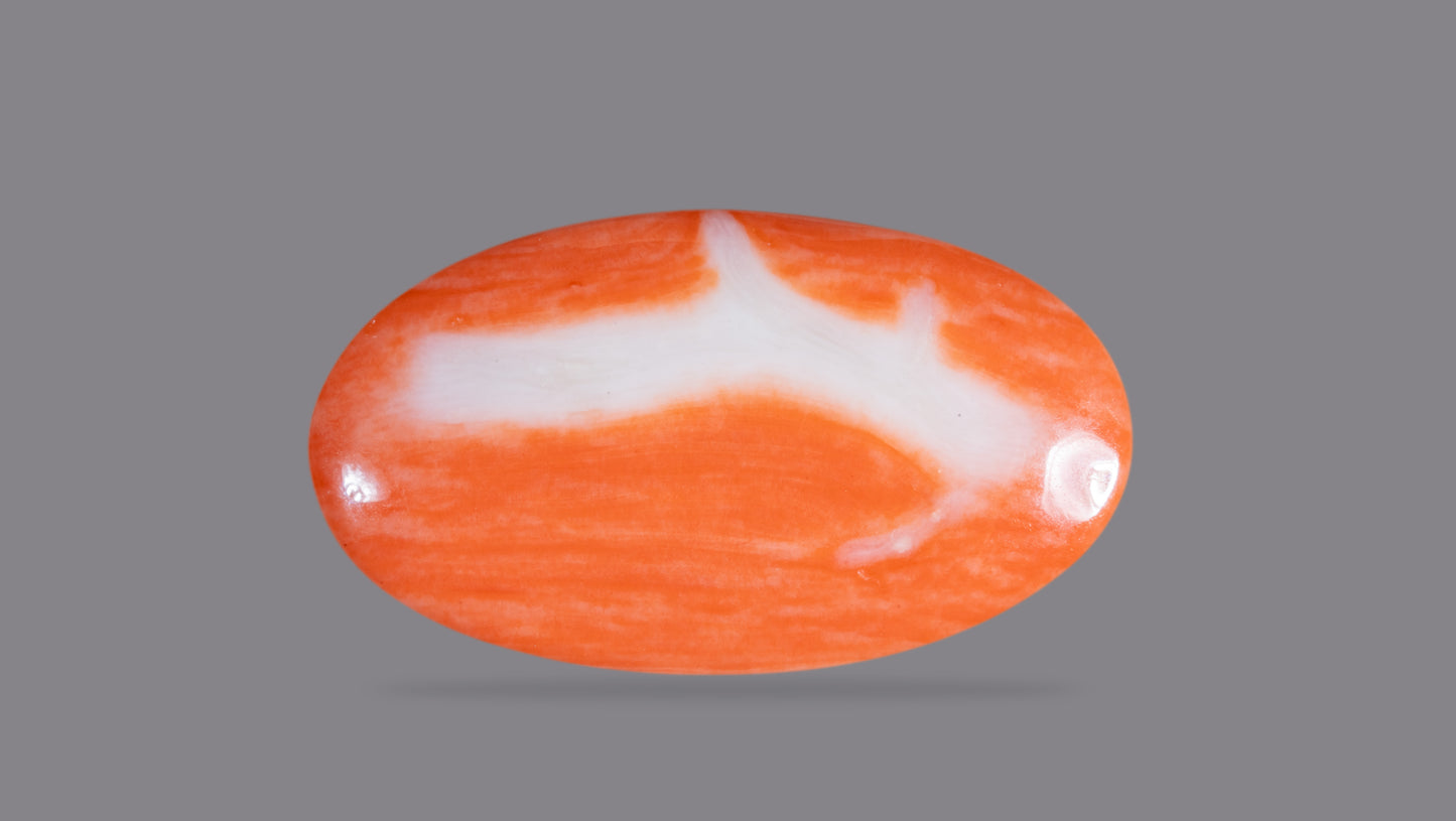 Japanese Red Coral (Moonga) 23.92 Carats