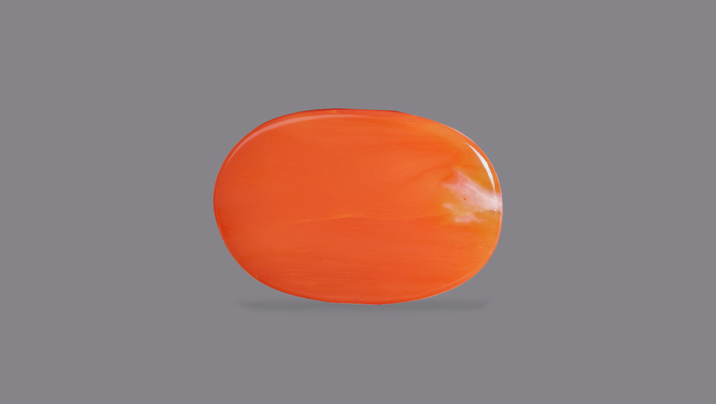Japanese Red Coral (Moonga) 9.79 Carats