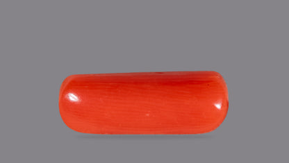 Natural Italian Red Coral (Moonga) 4.60 Carats