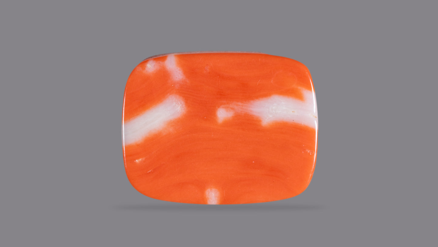 Japanese Red Coral (Moonga) 21.15 Carats